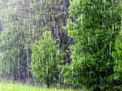 Rain Today: What the Forecast *Isn't* Telling You About the Downpour