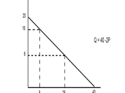 Economic Shutdown: What Happened and Who's to Blame