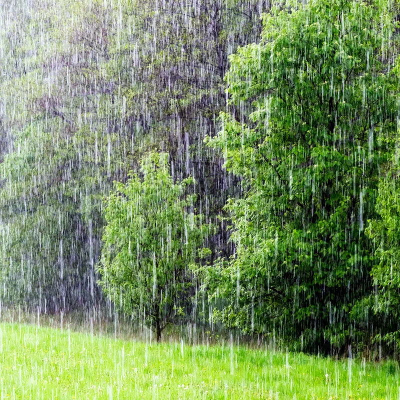 Rain Today: What the Forecast *Isn't* Telling You About the Downpour