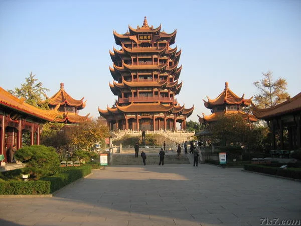 Wuhan's Resilience: What It Signifies and What We Now Know